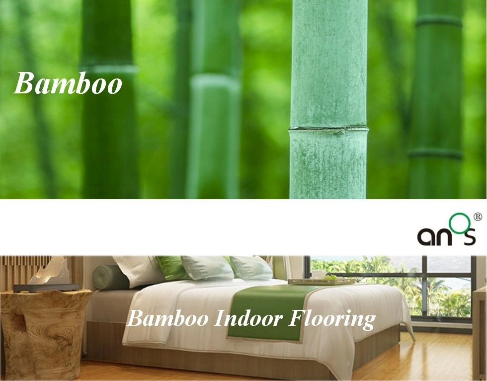 E0 Home Decoration Waterproof Solid Bamboo Flooring Wooden Flooring Indoor Bamboo Floor/Flooring